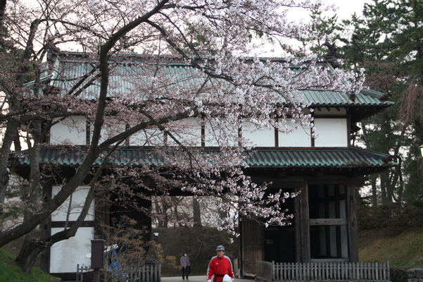 弘前城の「東内門」と桜