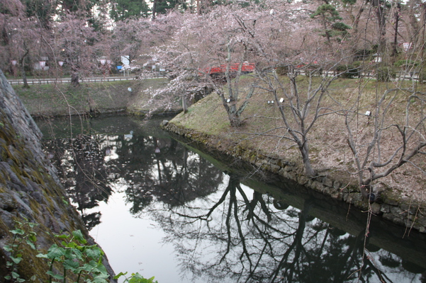 弘前城の濠に映る樹木