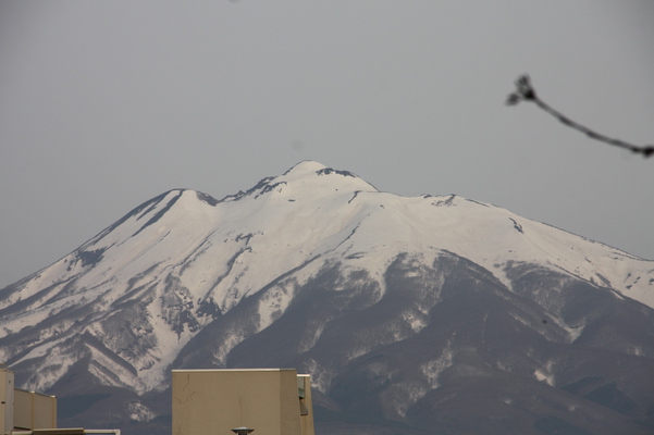 弘前城から見た雪の「岩木山」