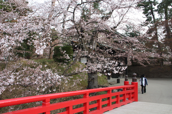 津軽・弘前城の「杉の大橋」と「南内門」
