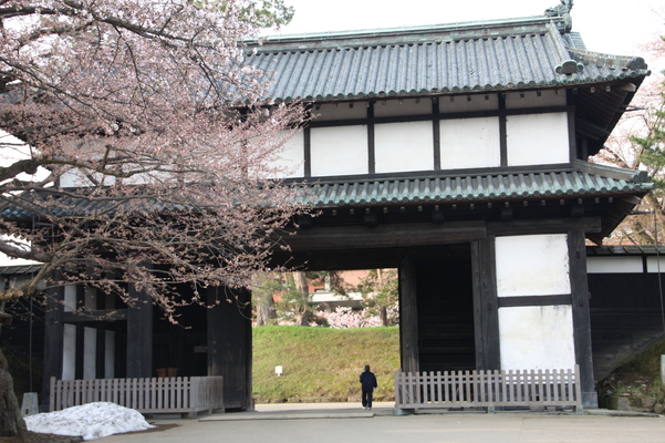 津軽・弘前城の「追手門」と桜の開花
