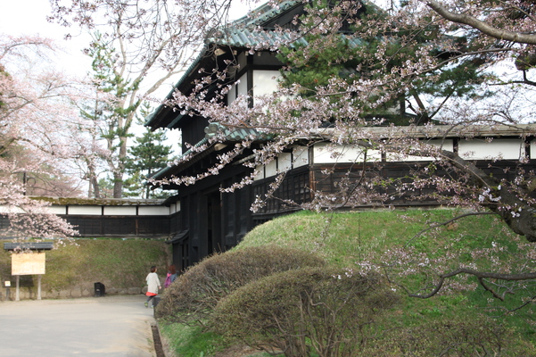 津軽・弘前城の「追手門」と桜