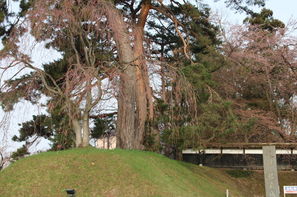 津軽・弘前城の「追手門」付近