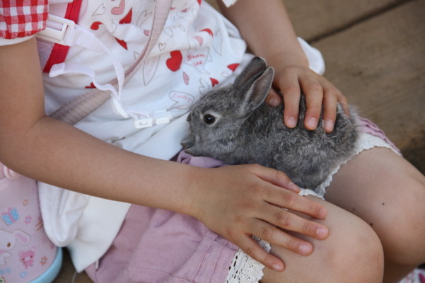少女と子ウサギ