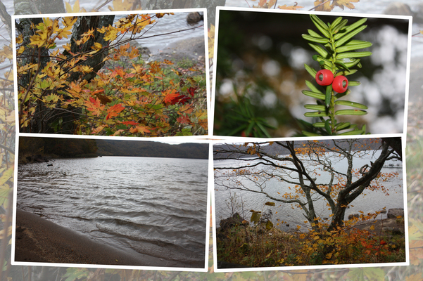 北海道倶多楽湖（クッタラ湖）の秋風情