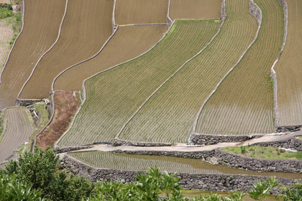 ��Ƥα��硦�项�С��Ŀ�������ê�ġ�/�����Ƥ������ǡ����١���