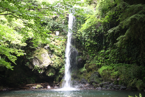 ή�������ְ���������/�����Ƥ������ǡ����١���