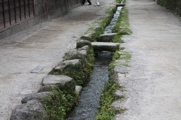 武家屋敷通りの用水と水草/癒し憩い画像データベース