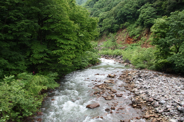 妙高「苗名滝」からの渓流/癒し憩い画像データベース
