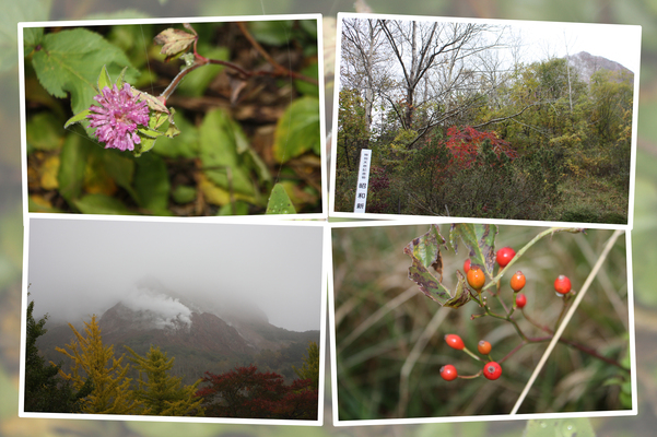 昭和新山の秋模様