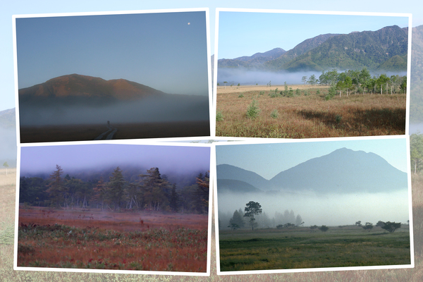 高原・湿原の朝霧