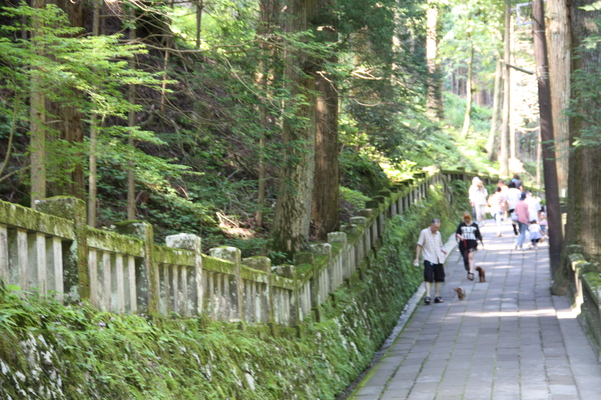 榛名神社の参道と石垣
