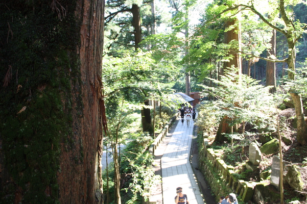 榛名神社の参道