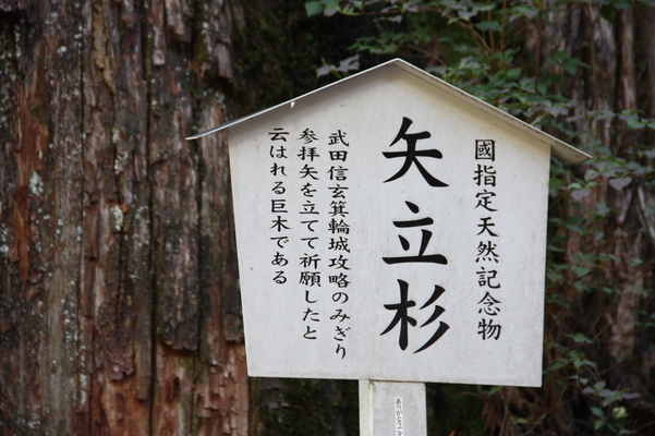 榛名神社の「矢立杉」説明版