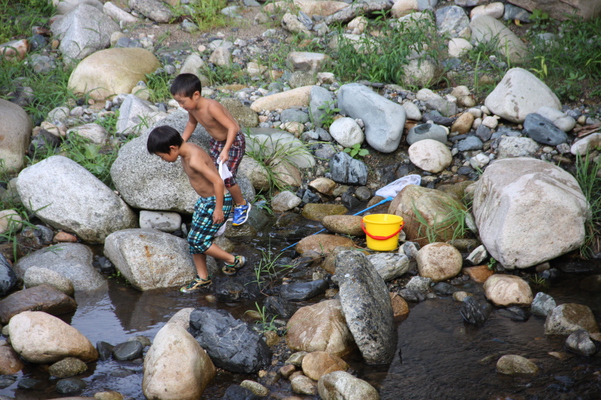 川で遊ぶ子供たち/癒し憩い画像データベース