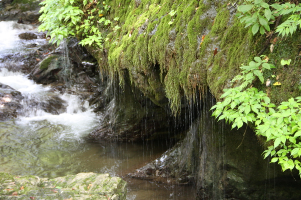 深緑期の渓流と「玉垂の滝」