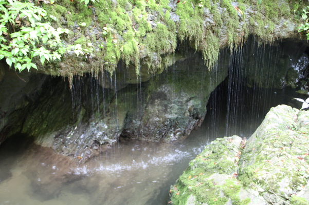 深緑期の神庭「玉垂の滝」
