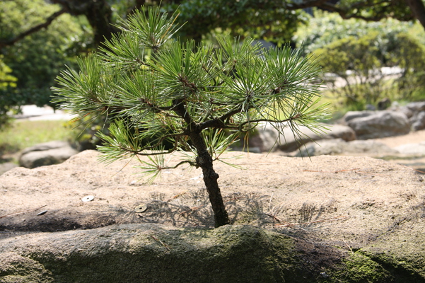 �⾾�ִ�����1�ܾ��ʺ������ˡ�/�����Ƥ������ǡ����١���