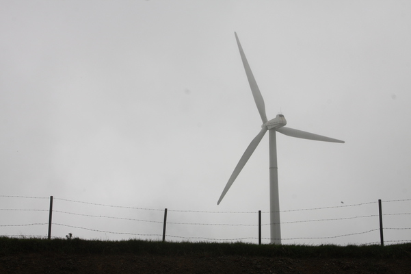 霧の四国カルストと風力発電