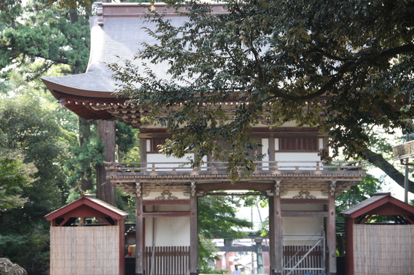 ʡ��ֻ�����Ҥ�ϰ��ʿ����)��/�����Ƥ������ǡ����١���