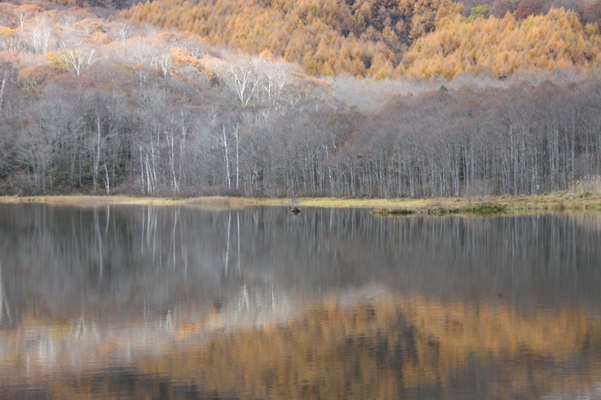 秋の戸隠高原「鏡池」