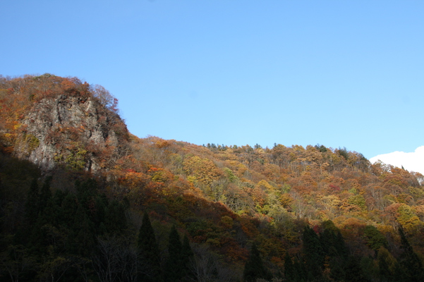 晩秋の岩山と森/癒し憩い画像データベース