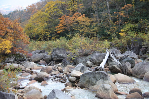 妙高「苗名滝」からの渓流と秋模様/癒し憩い画像データベース