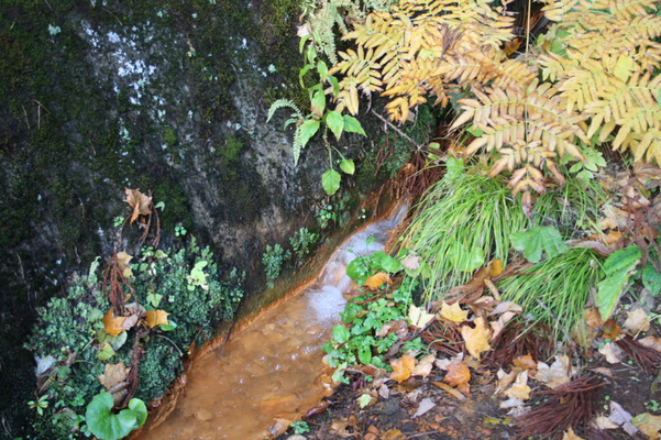 晩秋の妙高「苗名滝」近くの岩間の流れ/癒し憩い画像データベース
