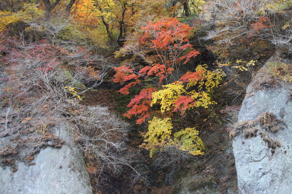 秋の「吹割の滝」傍の秋景色