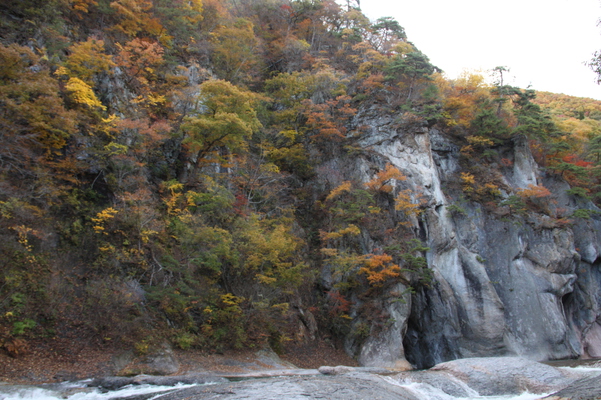 吹割渓谷「鱒飛の滝」傍の秋景色