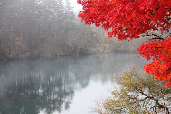 朝霧の五色沼「毘沙門沼」と紅葉