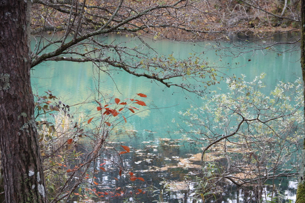 青い水面と紅葉