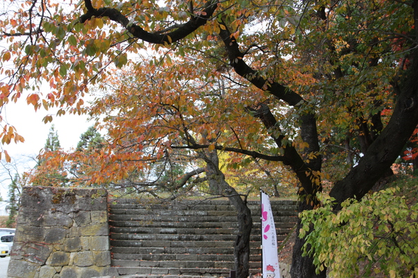 晩秋の会津若松城（鶴ヶ城）の石垣