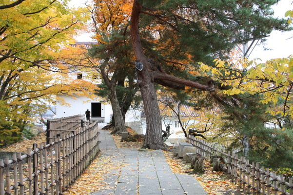 会津若松城（鶴ヶ城）の土塁の秋景色