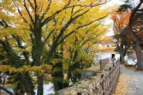 晩秋の会津若松城（鶴ヶ城）の石垣と干飯櫓