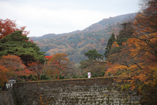 晩秋の会津若松城（鶴ヶ城）の石垣と周辺の森