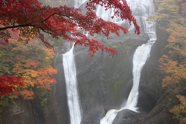 紅葉と「袋田の滝」/癒し憩い画像データベース