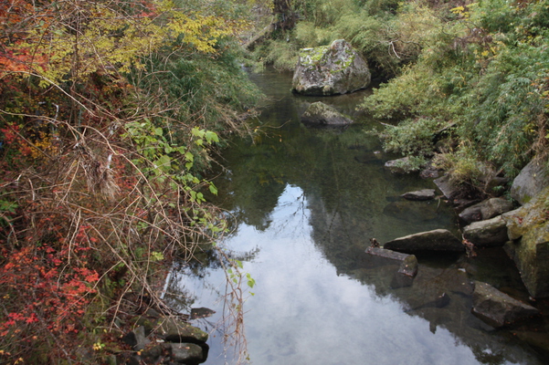 耶馬渓「一目八景」傍の渓流と秋模様