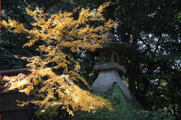 宇佐神宮の灯籠と黄葉