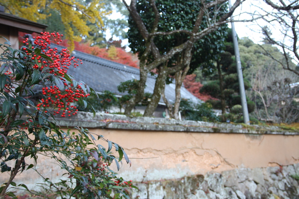 「富貴寺」土塀の秋風情