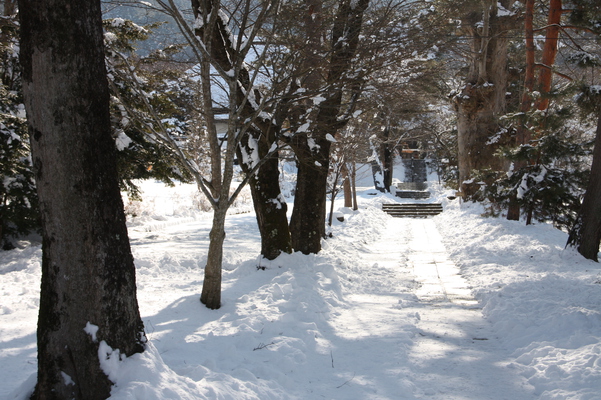 積雪の「前山寺」参道