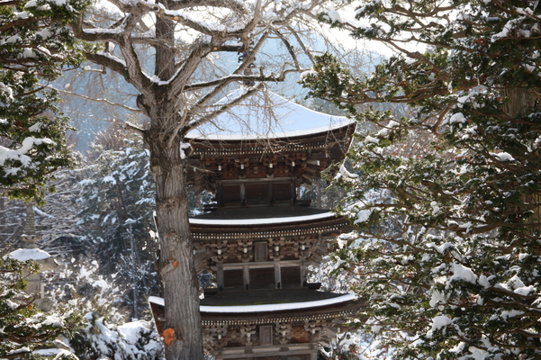 積雪の前山寺「三重塔」