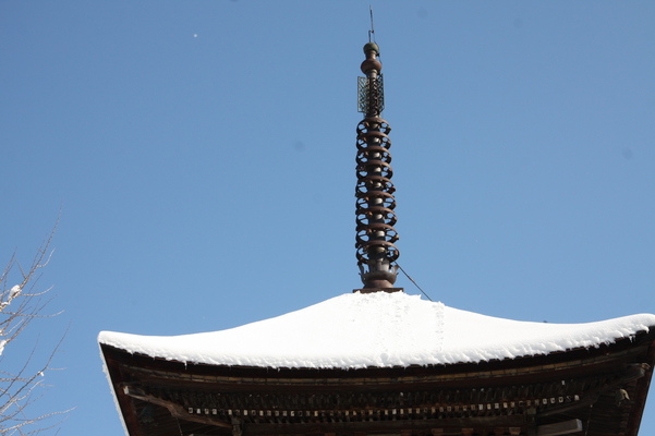 積雪の信州・前山寺「三重塔」九輪