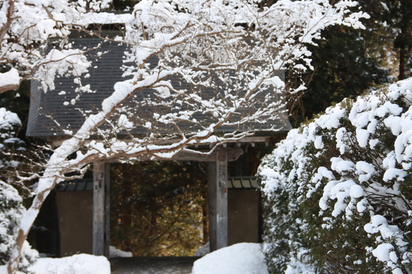 冬の信州「安楽寺」山門