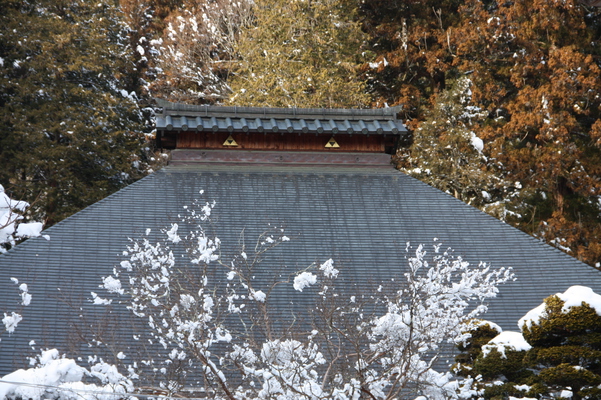 信州「安楽寺」の本堂屋根