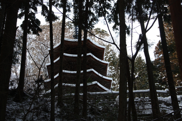 杉林と積雪の安楽寺国宝「八角三重塔」