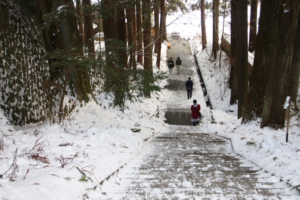 別所温泉「安楽寺」の参道と積雪