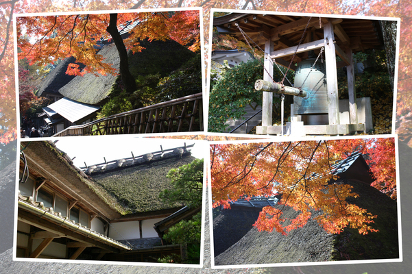 大興善寺の本堂屋根と鐘楼の秋模様