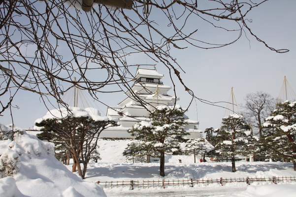 藤の蔓と積雪の会津若松城「天守閣」