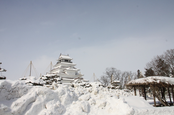 冬の会津若松城と藤棚